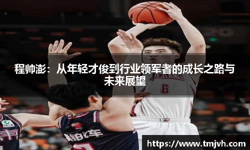 程帅澎：从年轻才俊到行业领军者的成长之路与未来展望